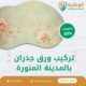 تركيب ورق جدران بالمدينة المنورة