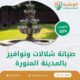 صيانة شلالات ونوافير بالمدينة المنورة